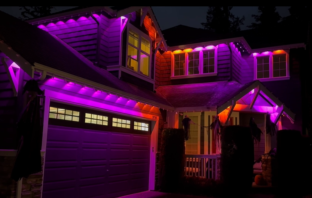 Permanent Holiday Lights